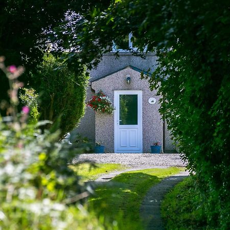 Llanfflewyn Tyn Llain B&B المظهر الخارجي الصورة